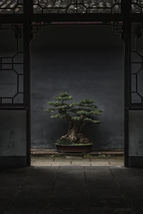 brown and green bonsai tree