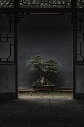 brown and green bonsai tree
