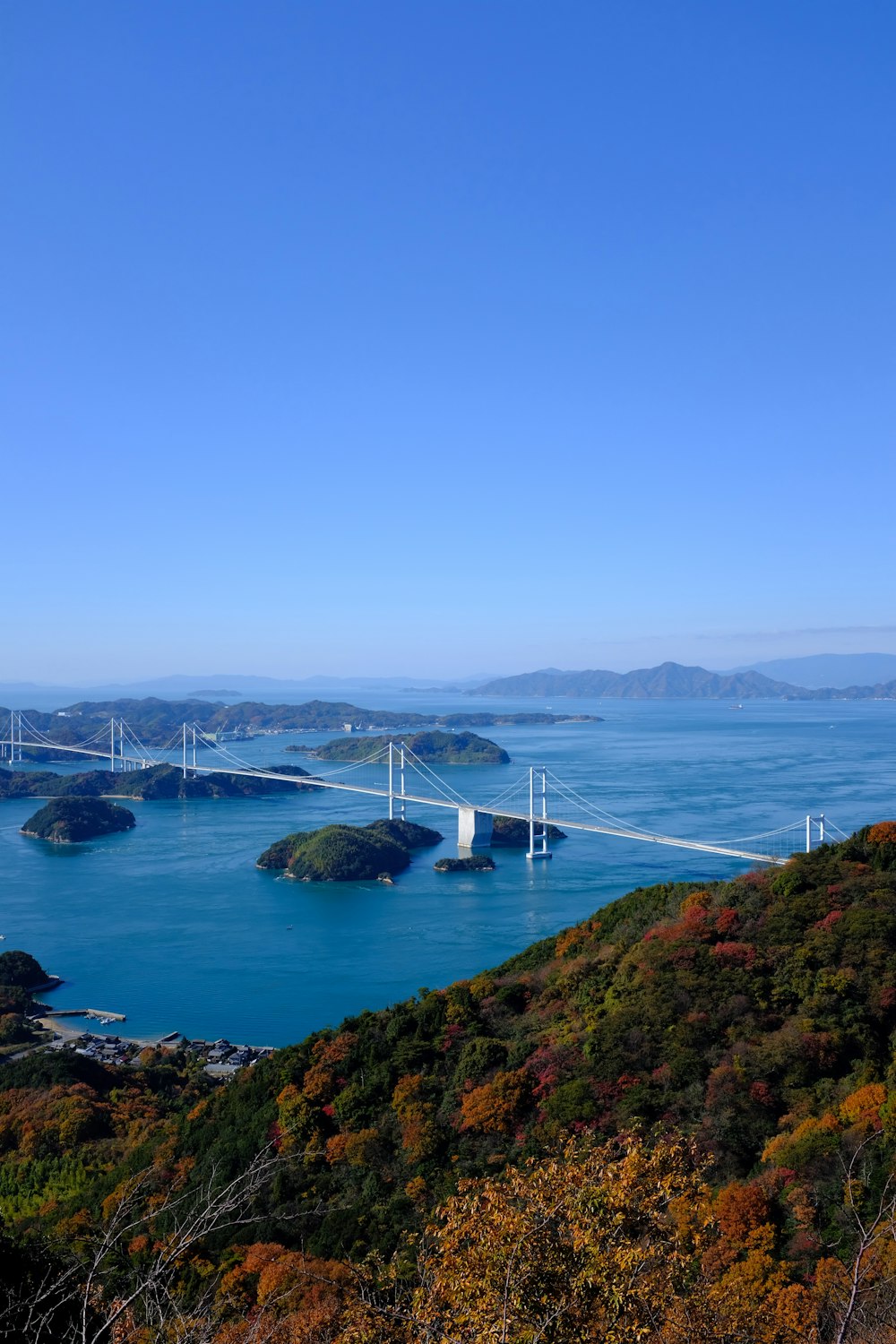 landscape photo of a bridge