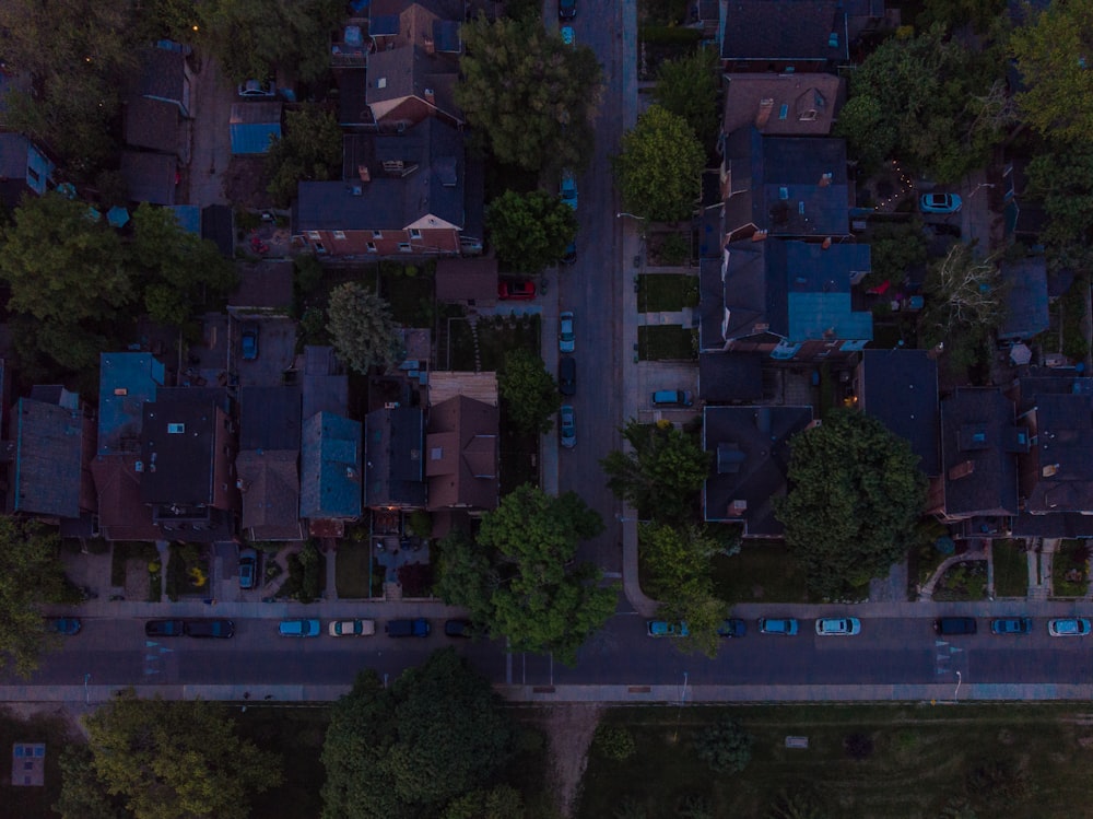 aerial photography of brown houses surrounded with tall and green trees