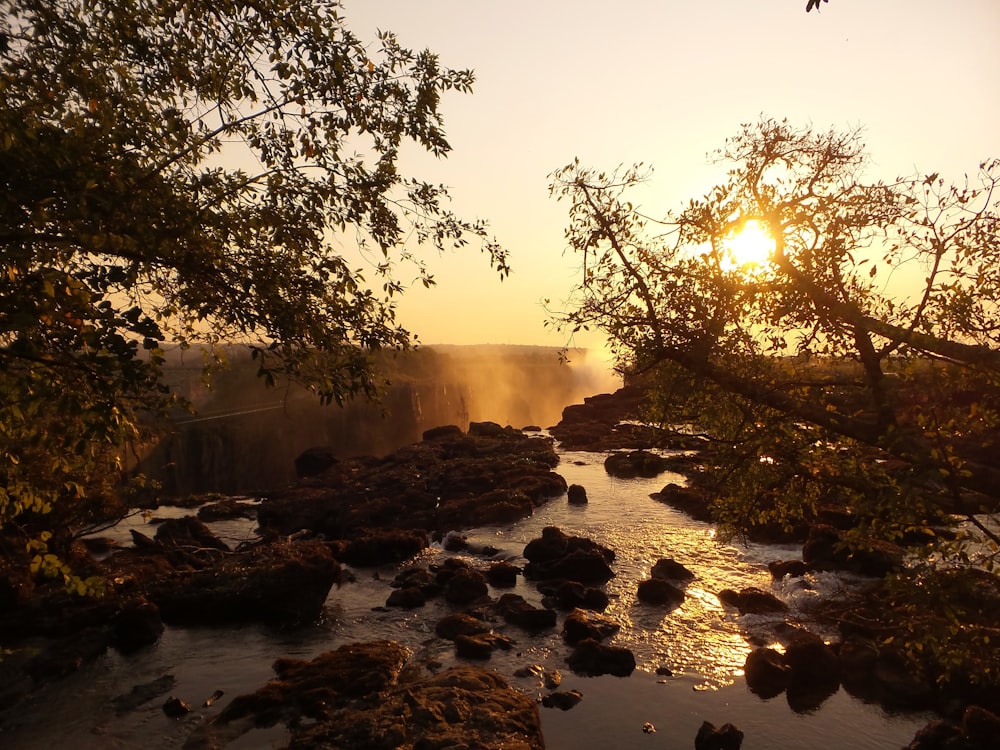 sunset at the river surrounded by trees