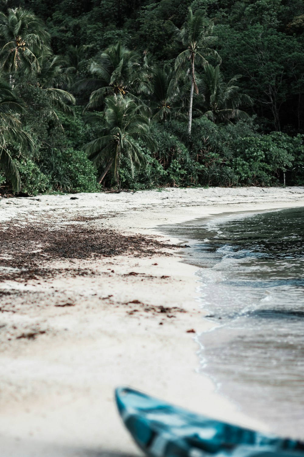 boat on shore