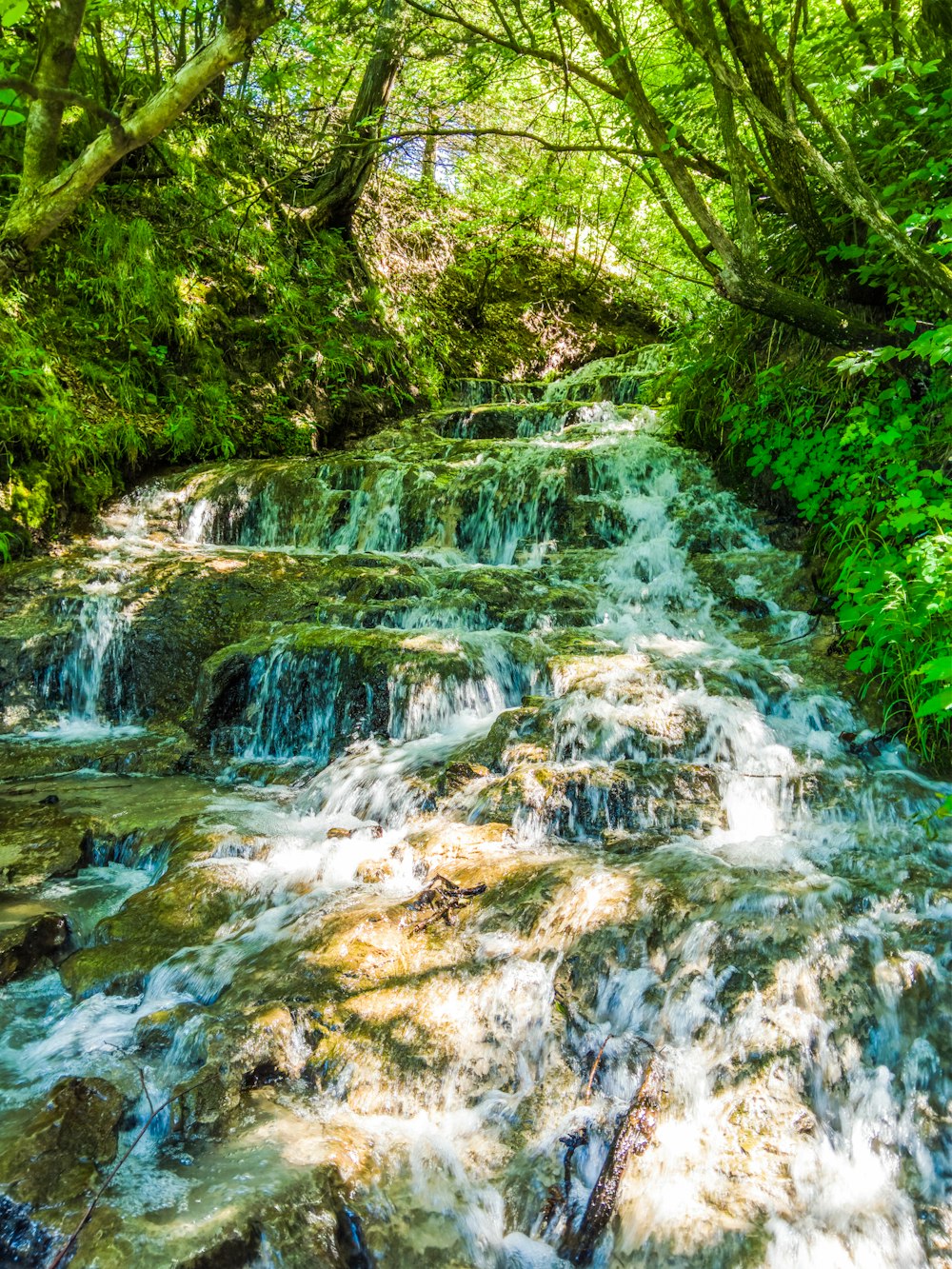 waterfalls in the forest during daytime