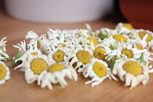 A cluster of dried flowers with white petals and yellow centers is spread across a wooden surface. The flowers are slightly wilted, creating a rustic aesthetic.