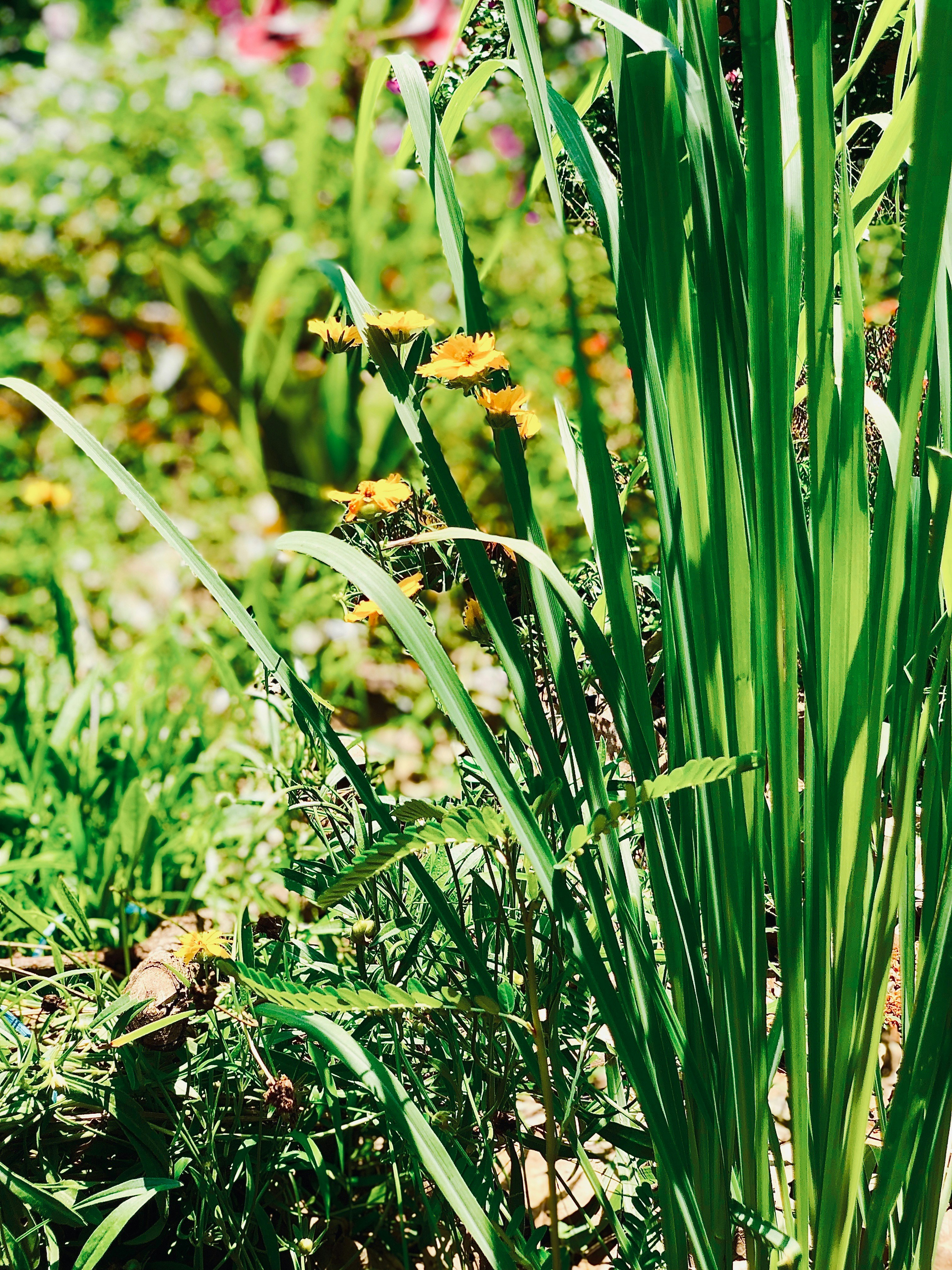 Photo by jasonpmiranda