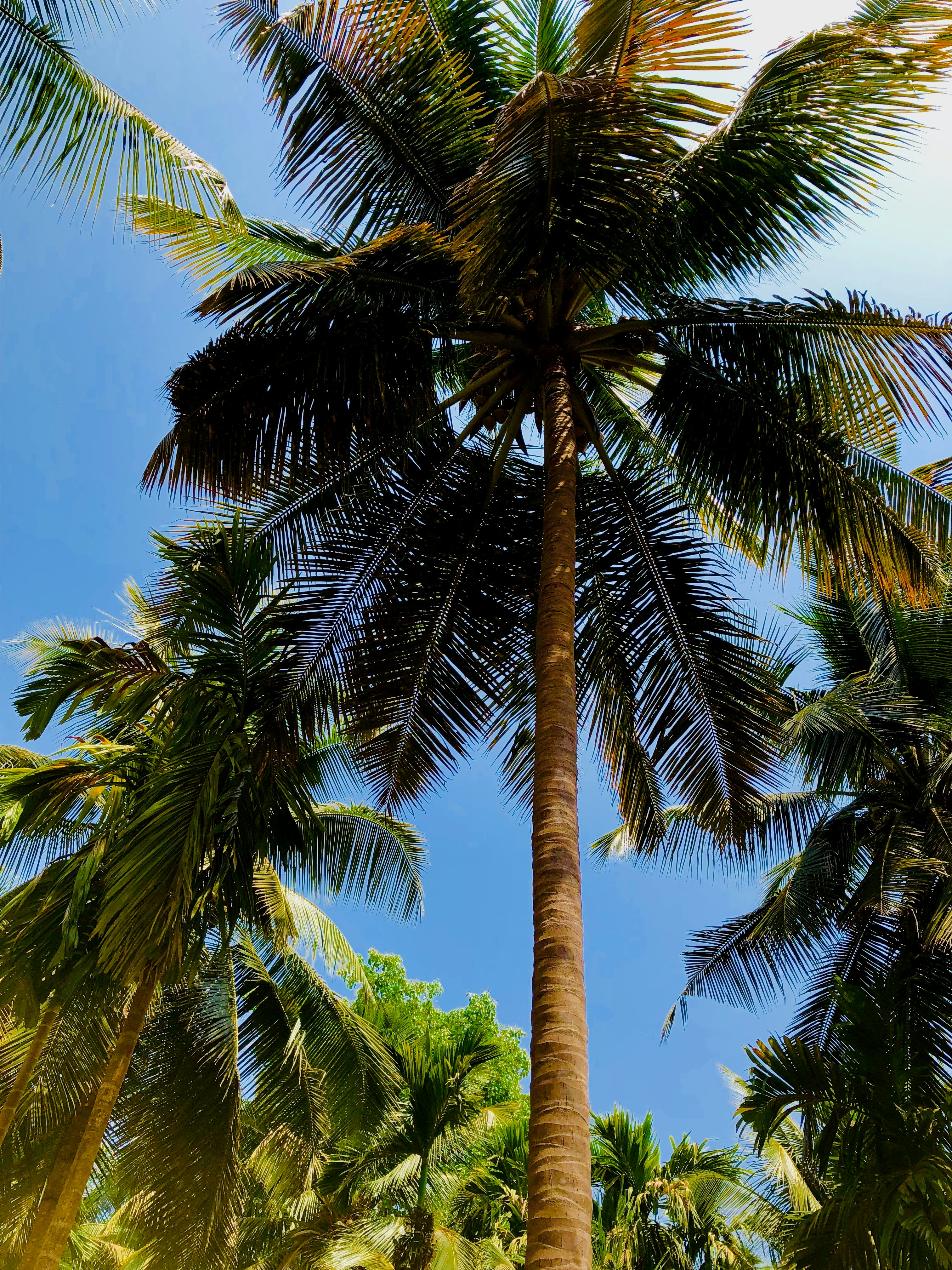 Photo by jasonpmiranda