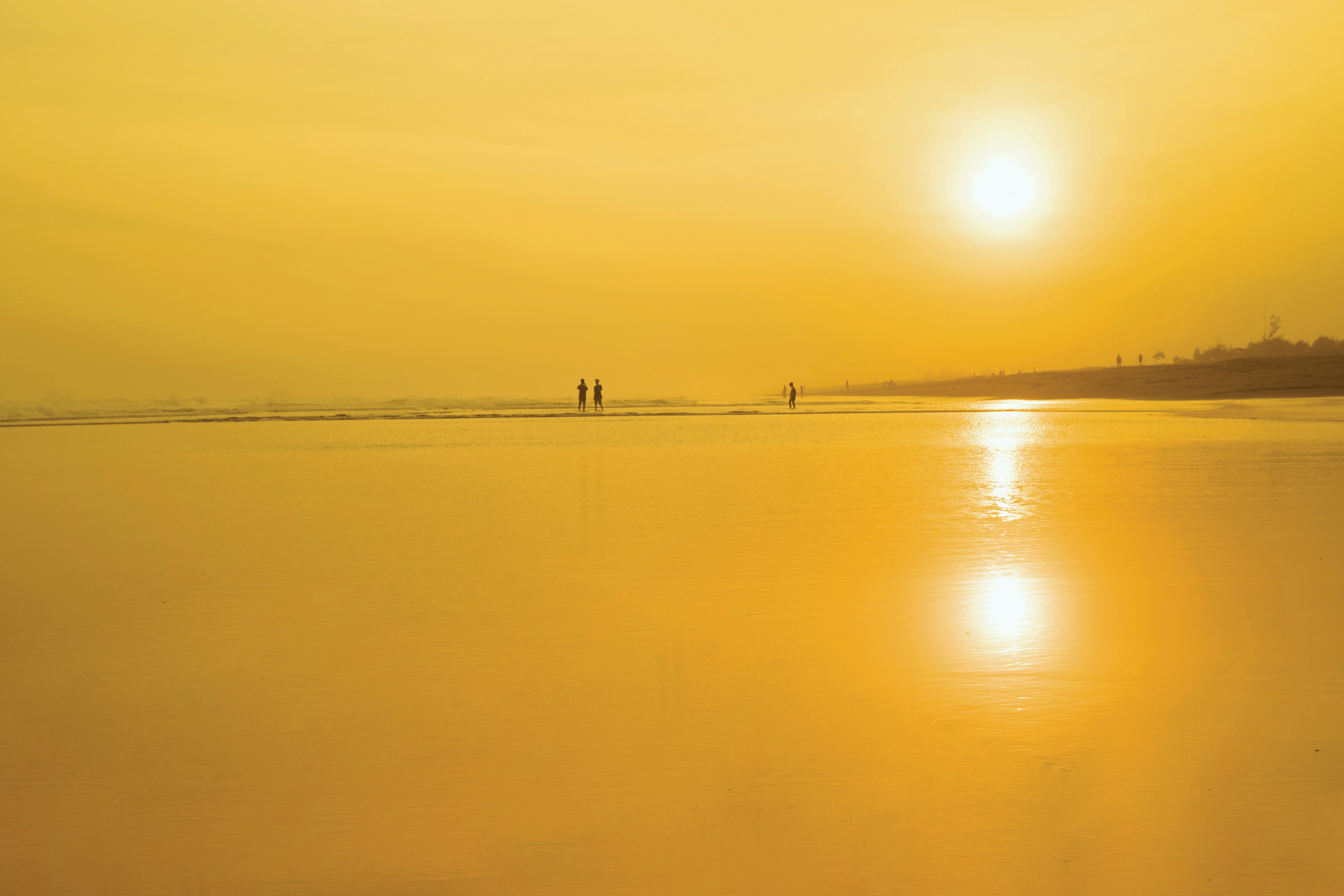 Dominating yellow when the sun goes down. Access this link https://tap.bio/@bayusyaits and find more portfolio at my ig: @abyudaily