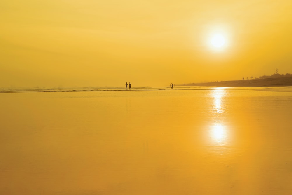 shore during golden hour