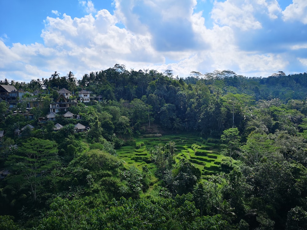 houses surrounded by trees under white clouds