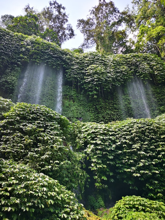 Air Terjun Benang Kelambu things to do in West Nusa Tenggara