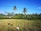 Workers wearing straw hats are harvesting crops in a lush, green field surrounded by a row of tall palm trees under a clear blue sky. Several people are visible, spread out across the field, engaging in agricultural work.