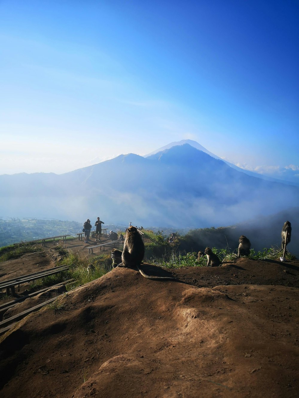 person sitting on rocky hill viewing mountain covered with fogs