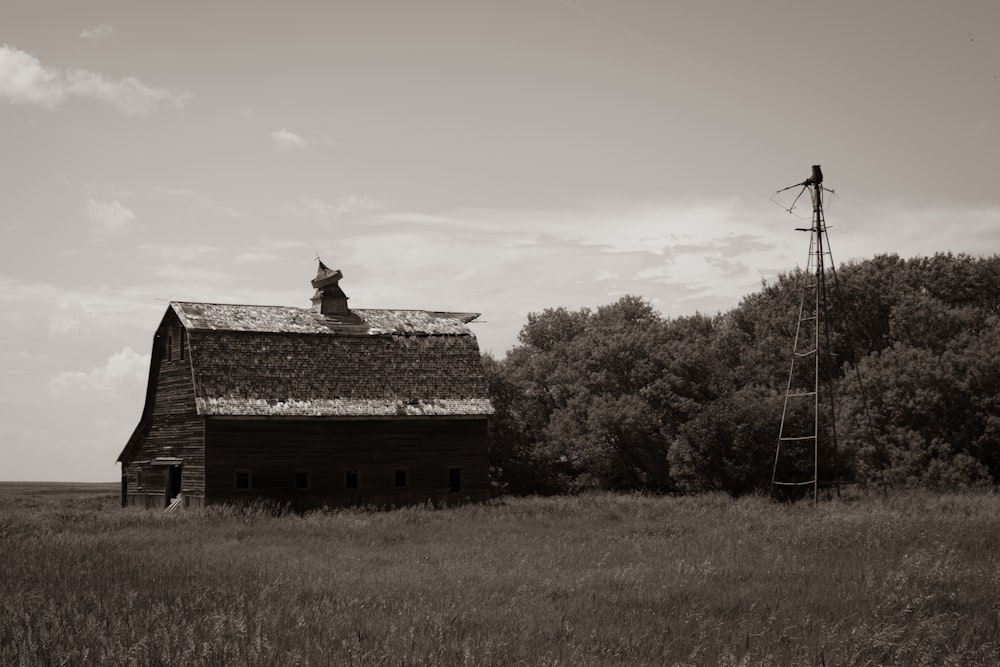 grayscale photography of trees near house