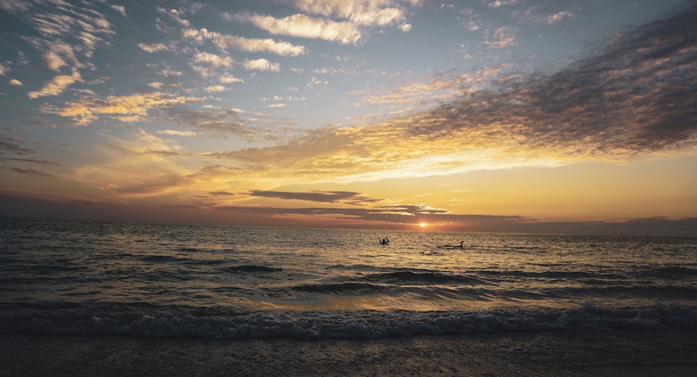 seashore under orange sky