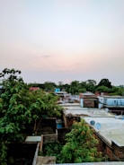 A rural village scene with multiple rooftops, some covered with satellite dishes. Trees with lush green foliage surround the area, and the sun is setting in the background, casting a soft glow across the sky.
