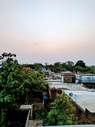 A rural village scene with multiple rooftops, some covered with satellite dishes. Trees with lush green foliage surround the area, and the sun is setting in the background, casting a soft glow across the sky.