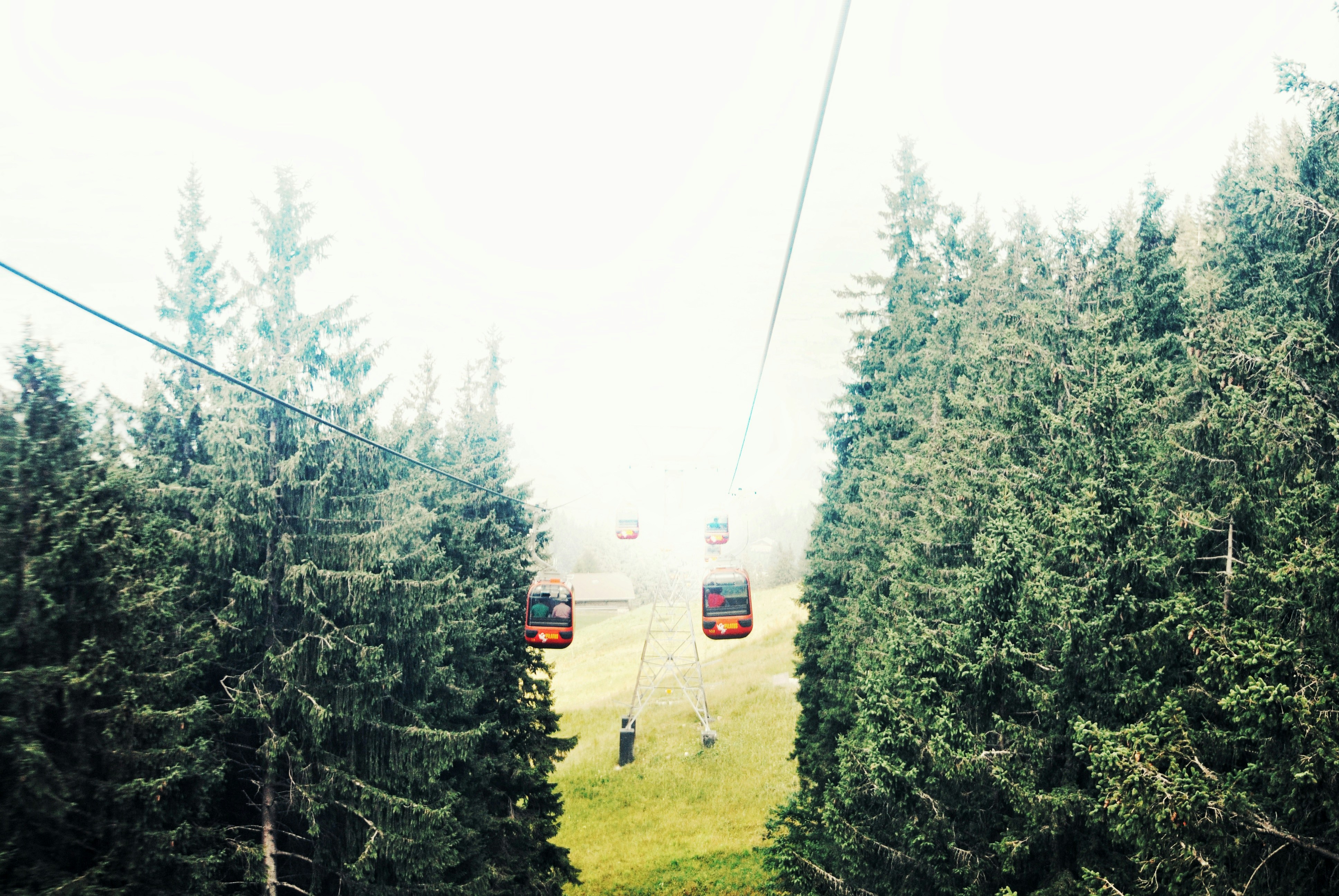 Two red cable cars photo – Free Plant Image on Unsplash