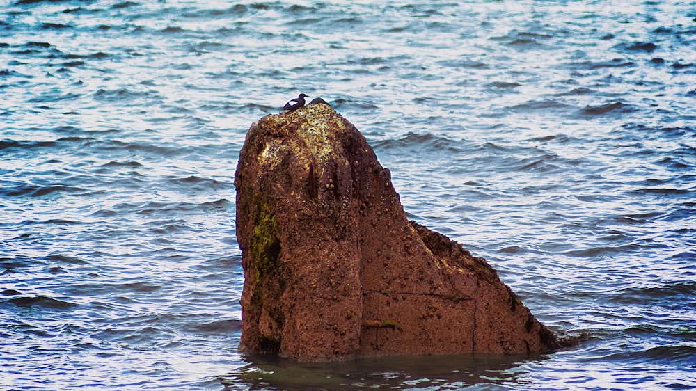 rock formation in body of water during daytime