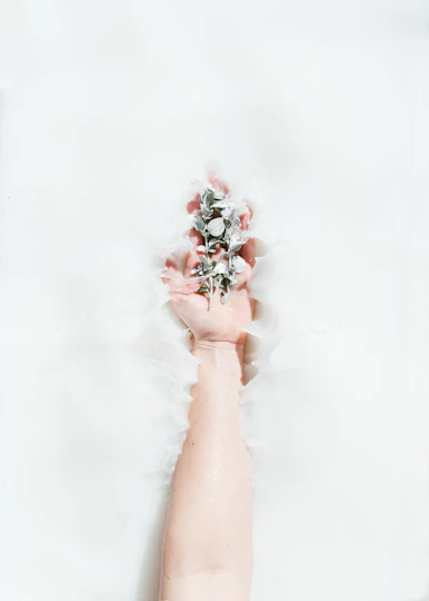 person's hand holding plants on white water