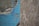 A close-up view of a weathered wall with two distinct textures: on the left, cracked and peeling blue paint on a rough concrete surface, and on the right, a section of oriented strand board with a natural wood texture.