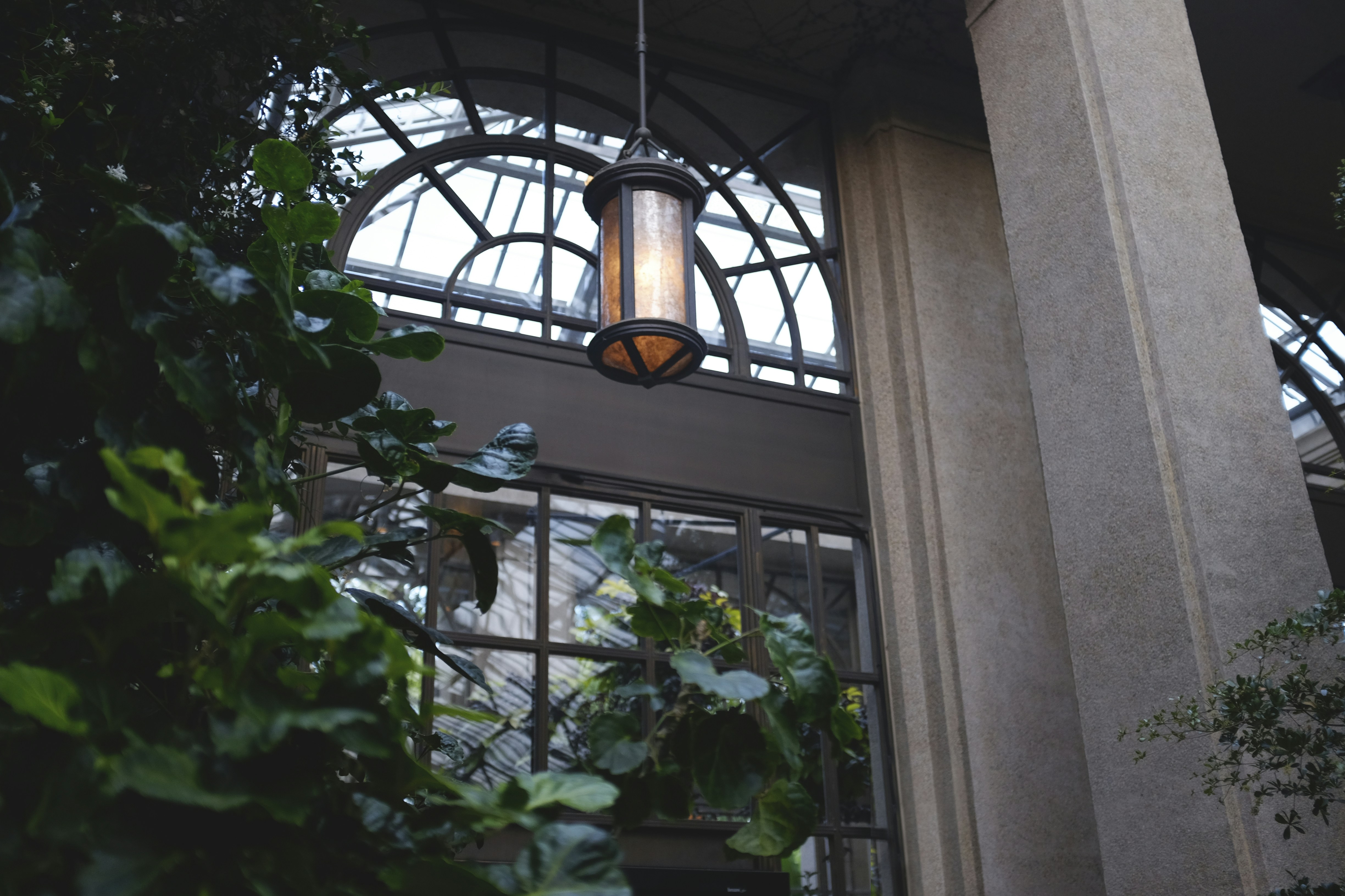 mid century modern plants, wallpaper, Bathroom Plants: Luxury Mid-Century Modern Style 2