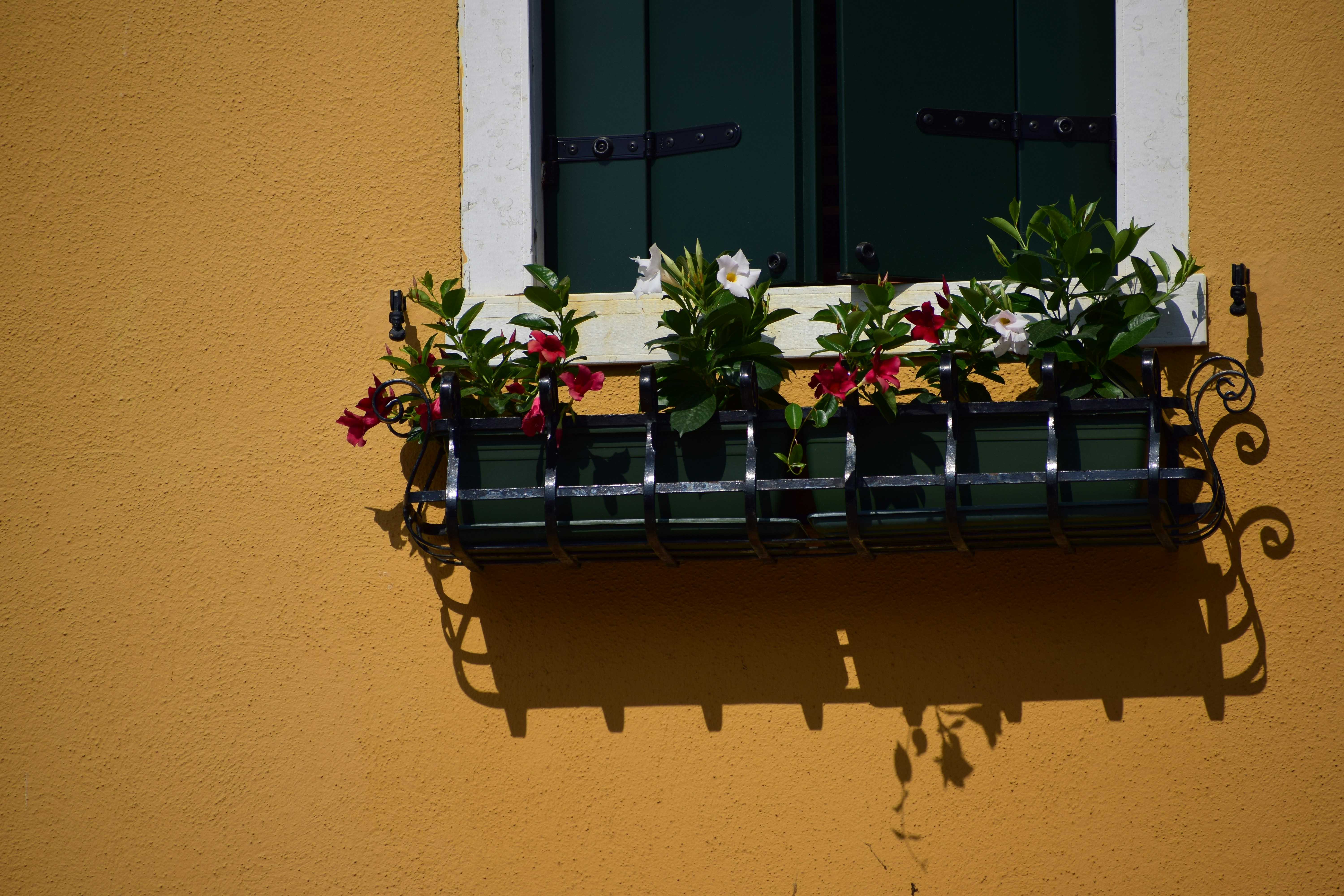 Photo by lisa_therese