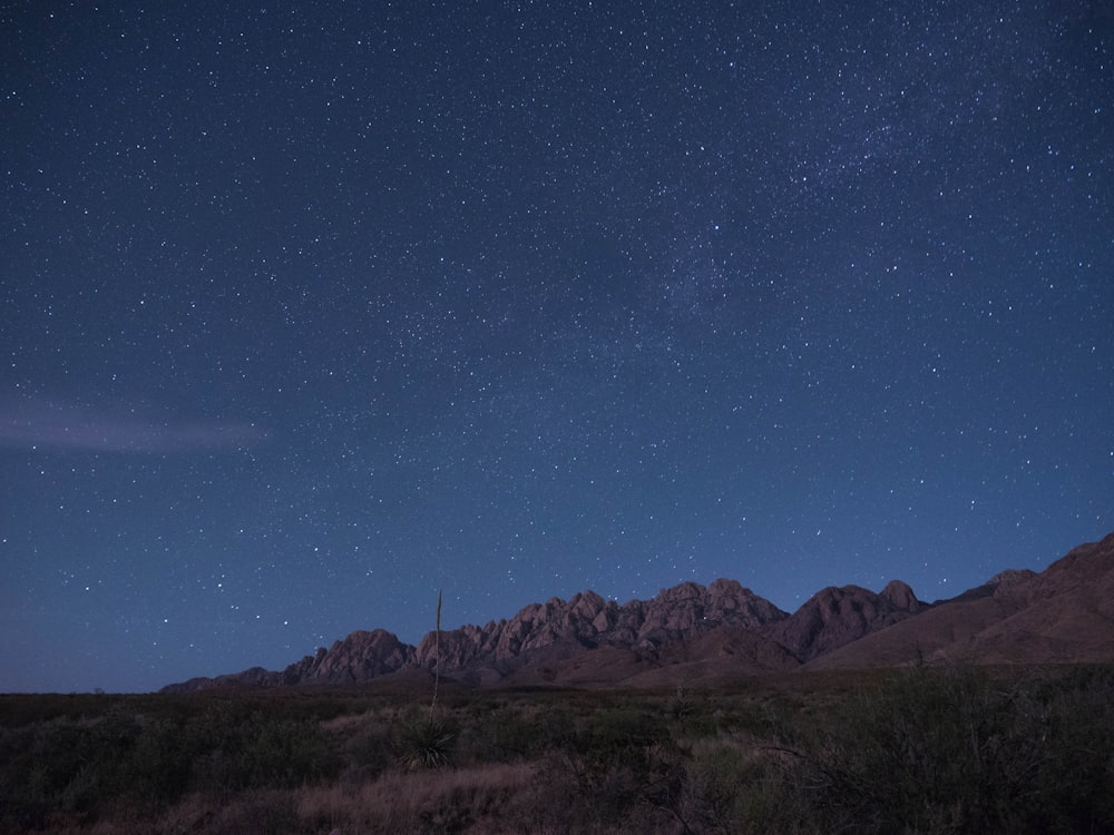 land under stars in the sky