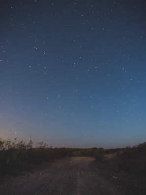Starry night sky above the peaceful farm, with no traces of city lights.