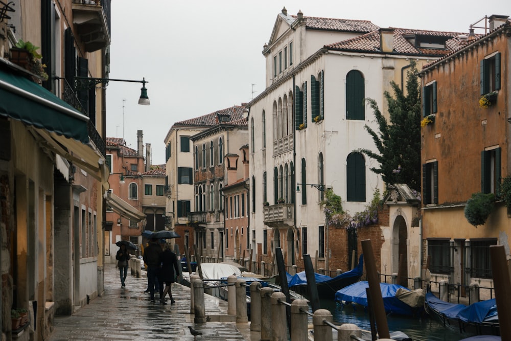 people walking on street