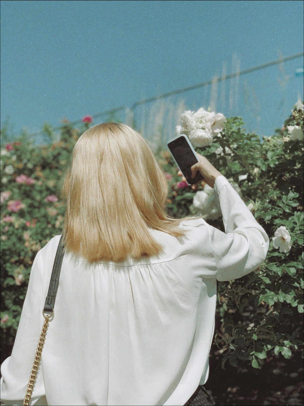 woman using smartphone near flowers