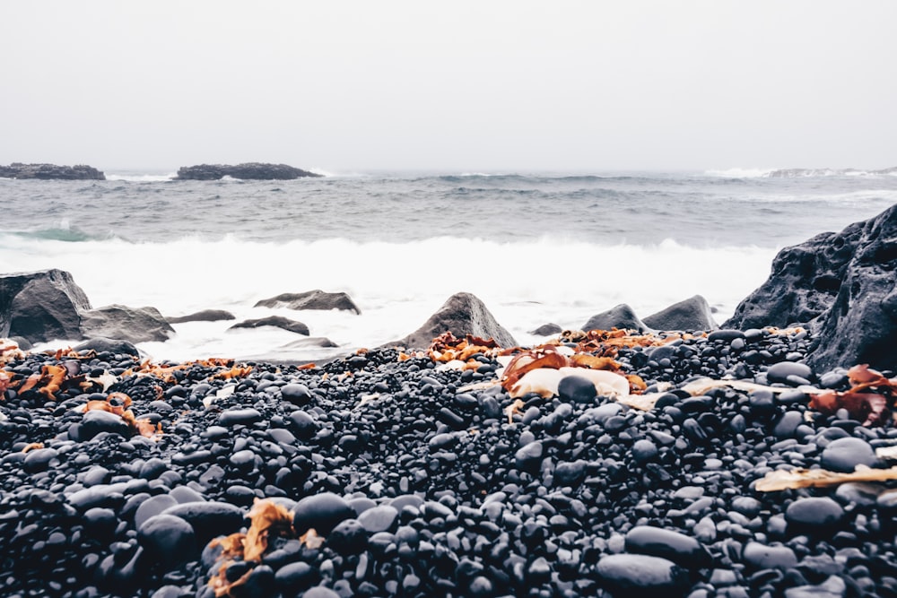 stones on shore