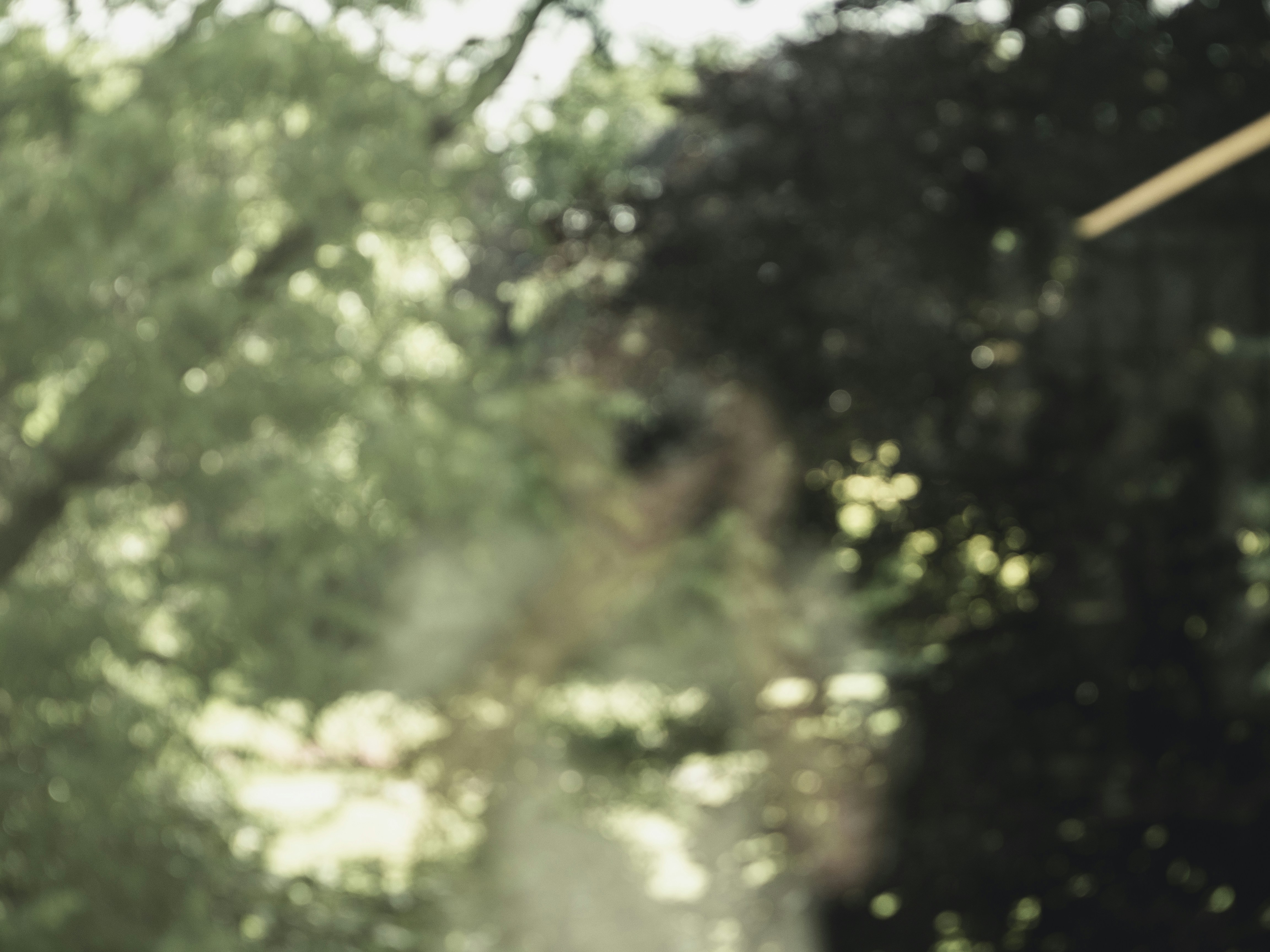 Photo by milandegraeve