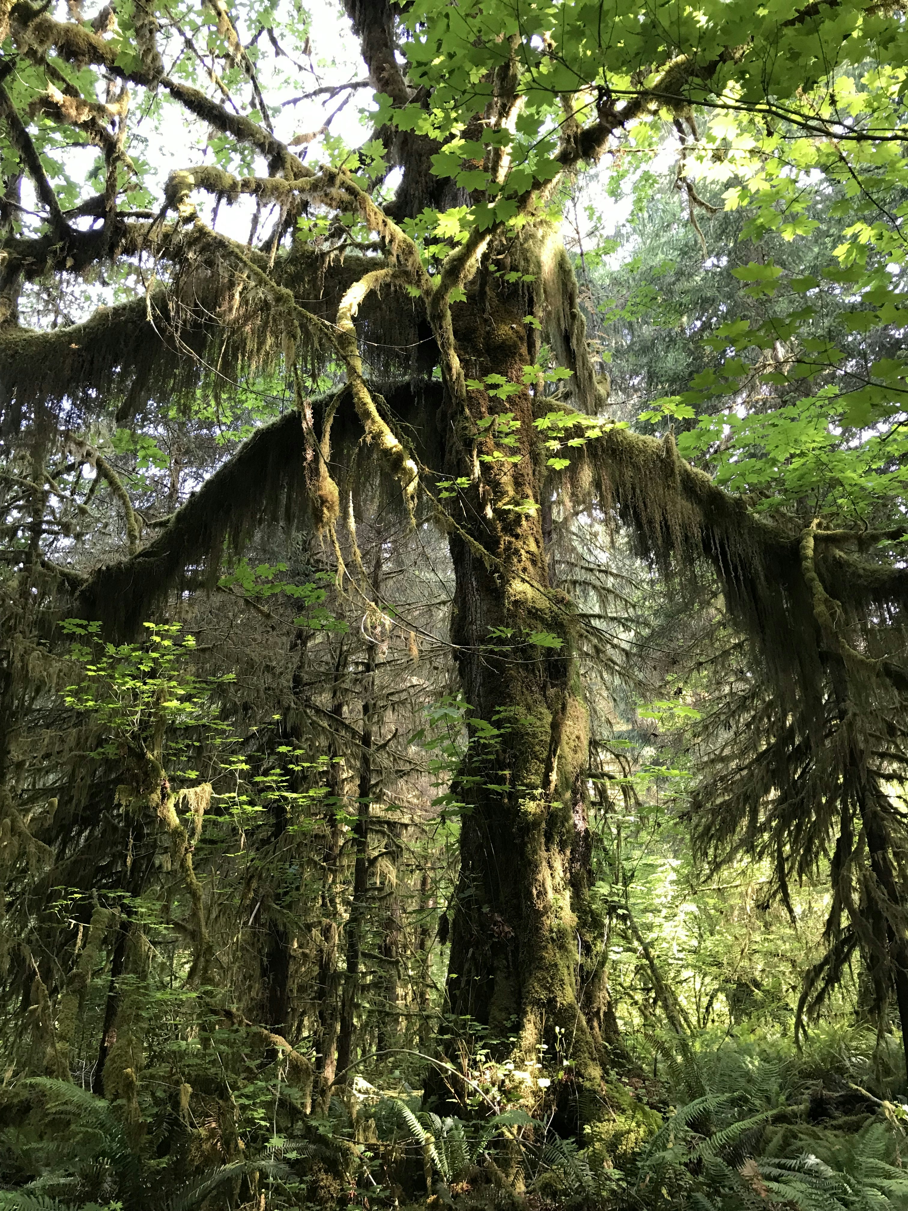 Photo by subtle_awakening