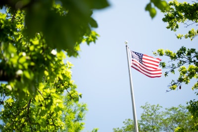 usa flag on pole near trees american flag google meet background