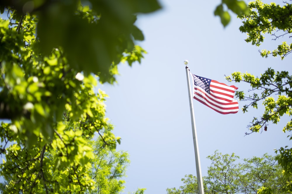 USA flag on pole near trees