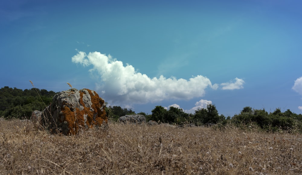 grey rock at the fields during daytime