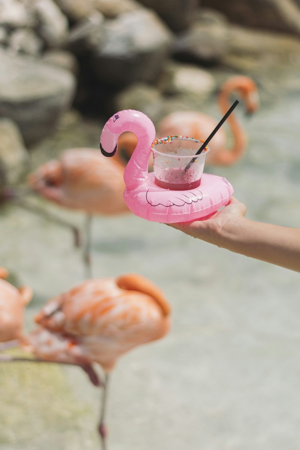person holding pink flamingo cup holder