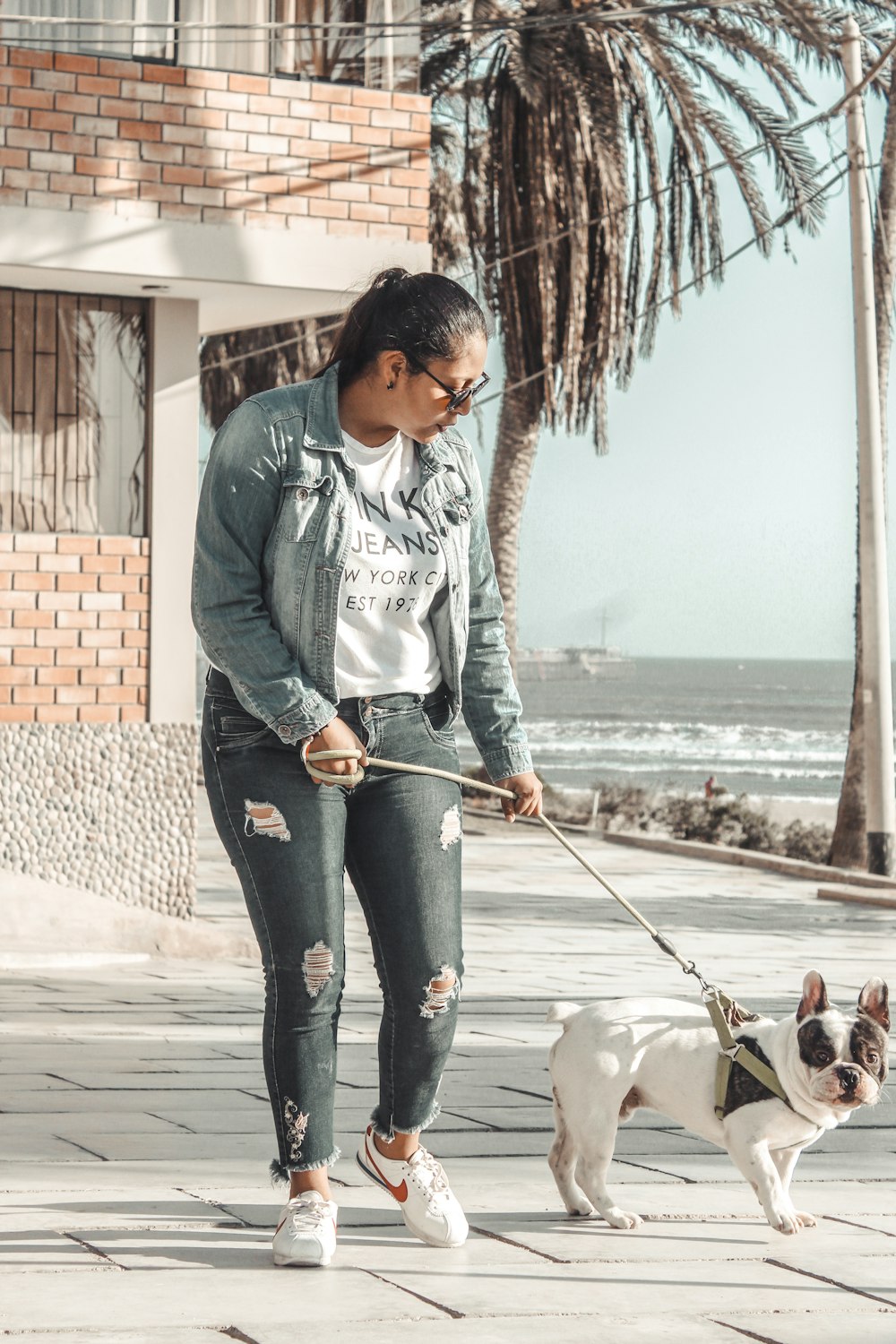 woman holding leash of adult white and black French bulldog during daytime