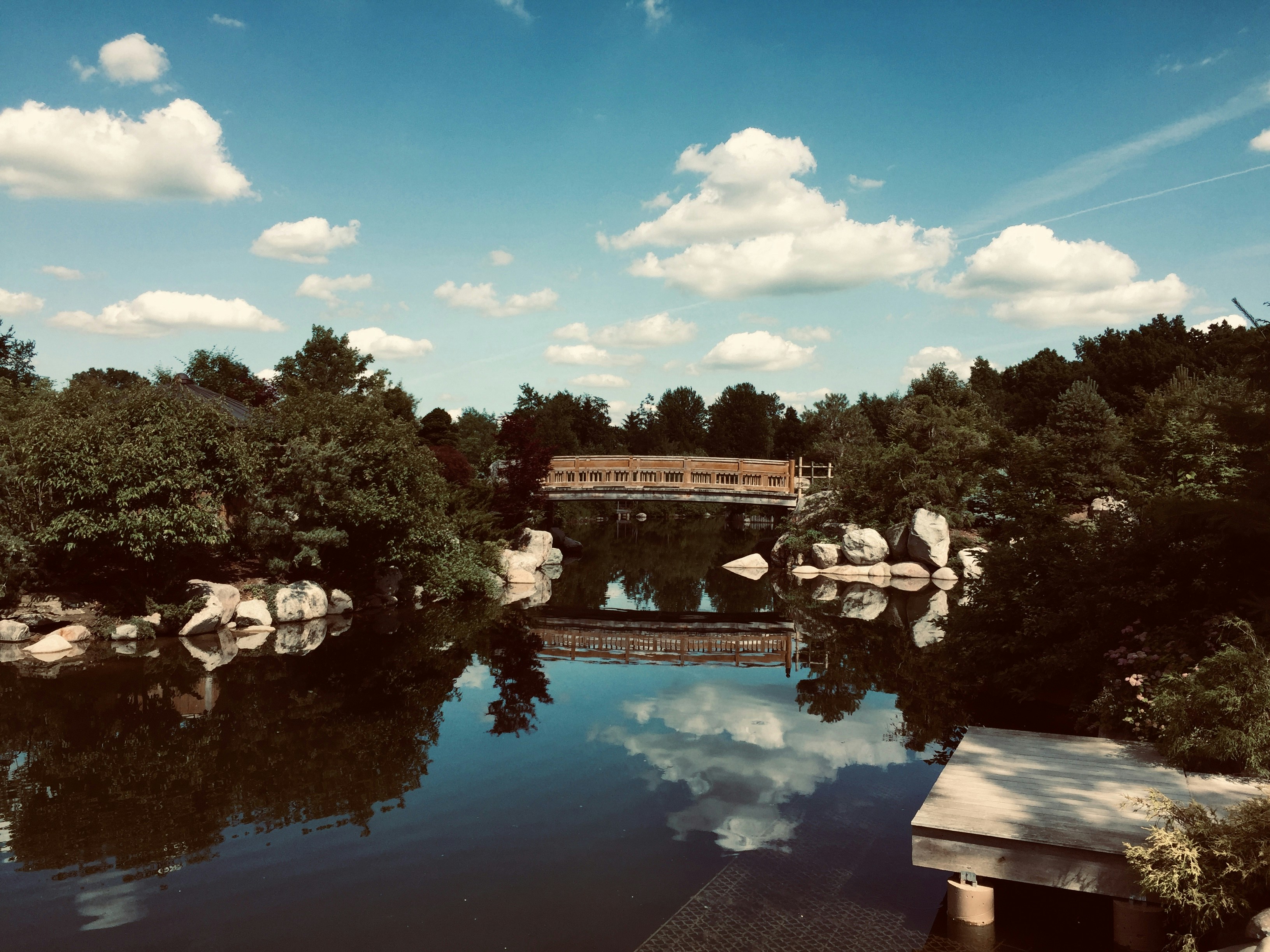 Photo by niftyartofficial1_