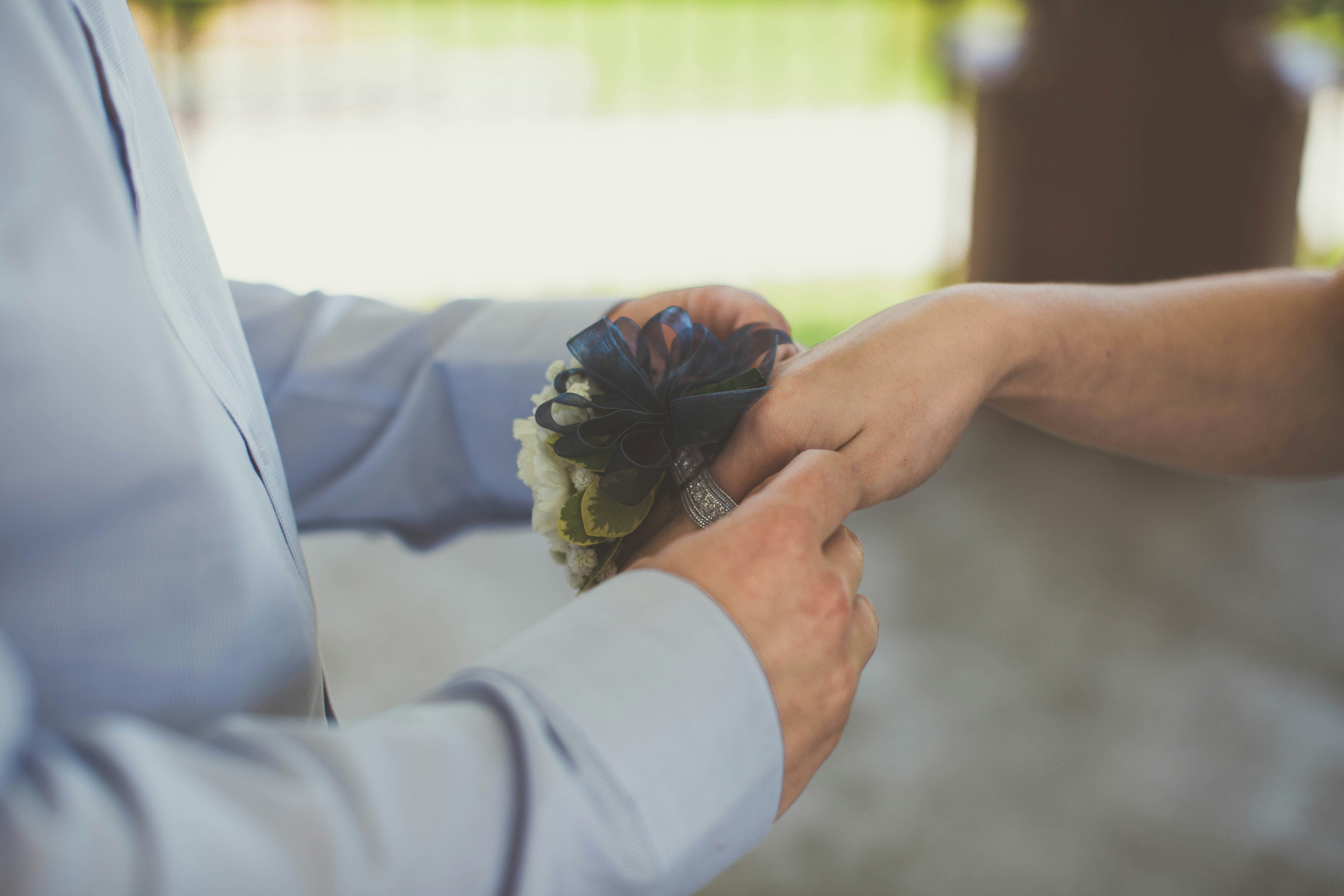 Bird Veterinary Care Basics: Essential Guide
