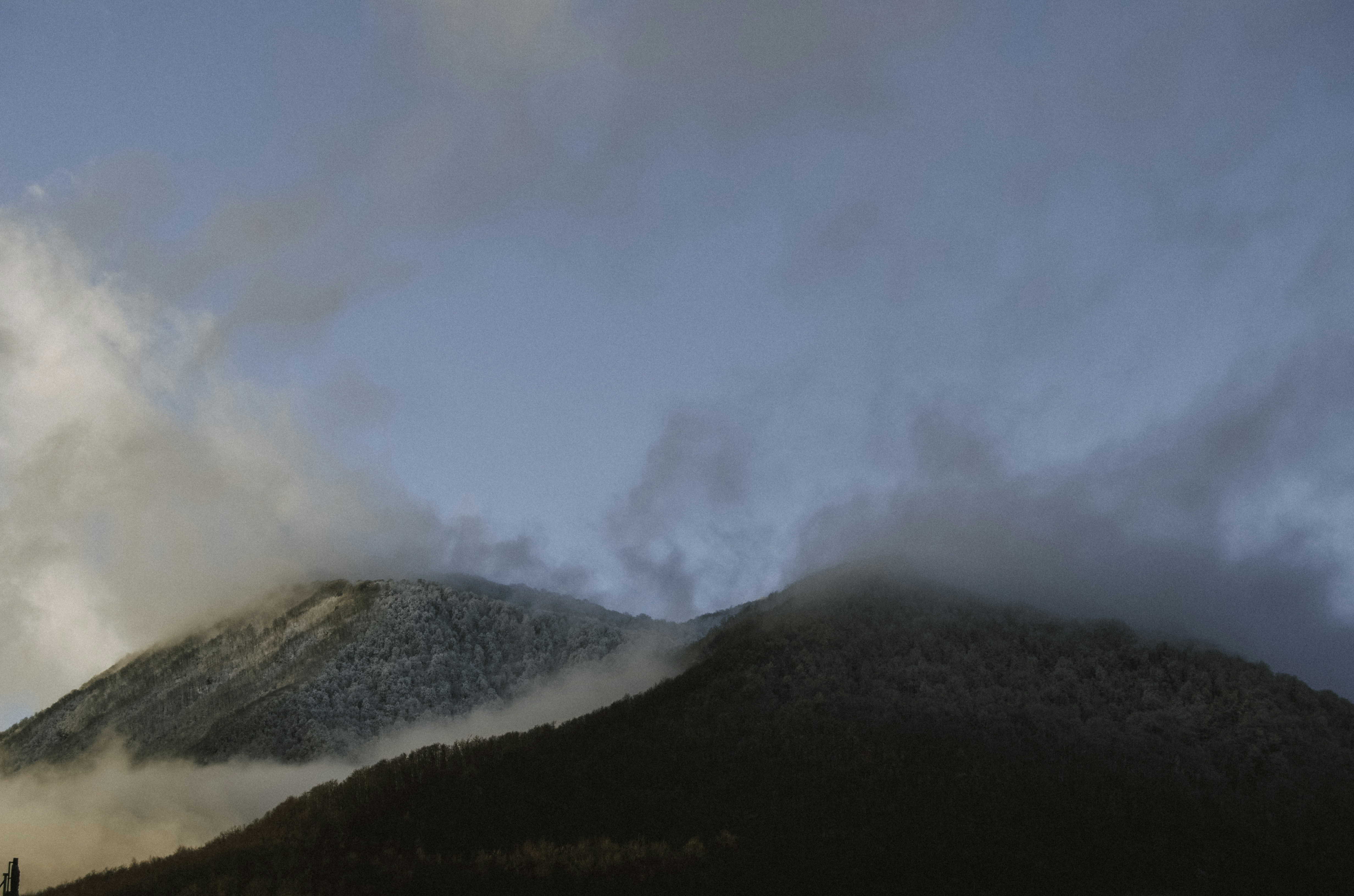 Photo by shadesofdecay