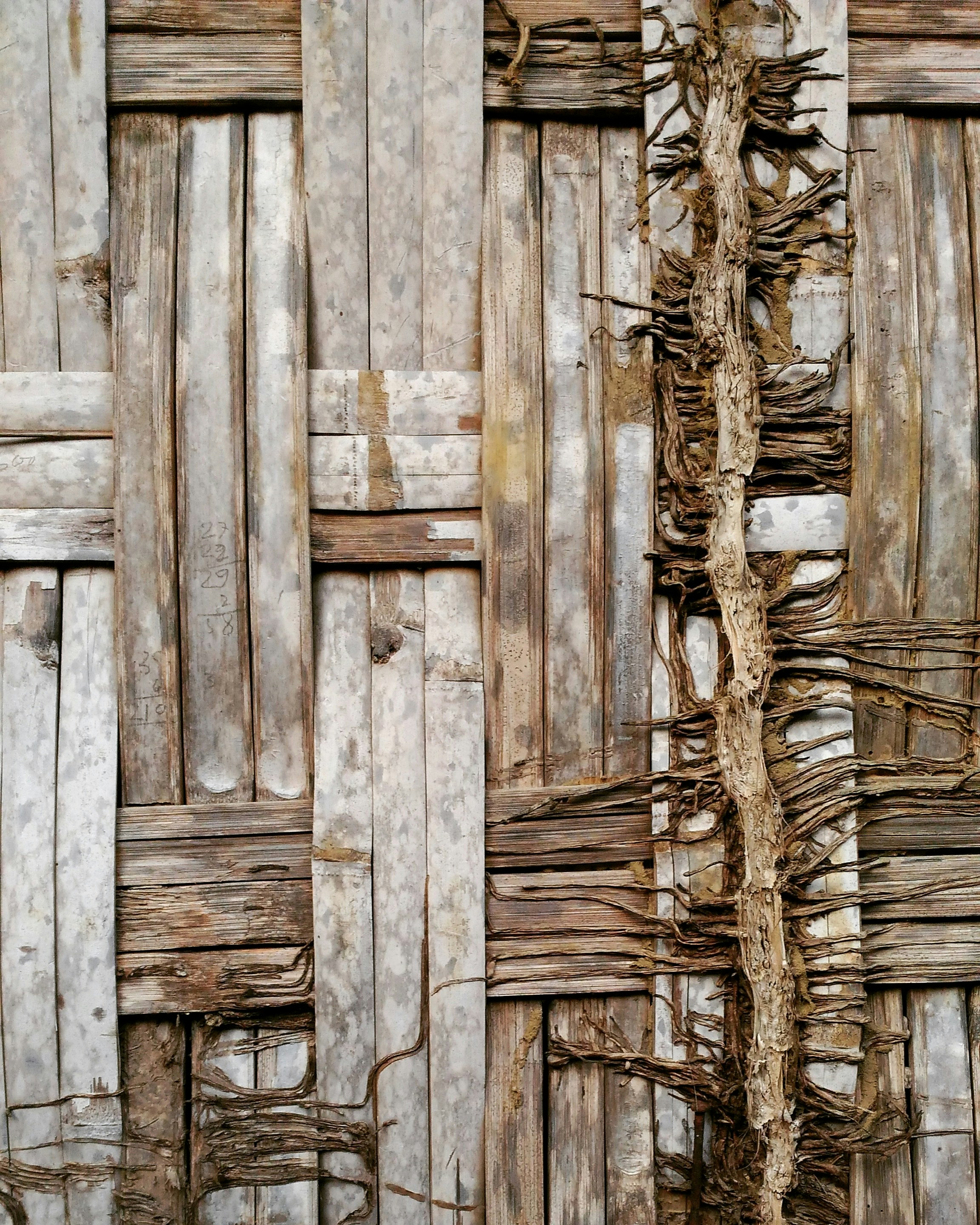 Photo by madinabintiumar