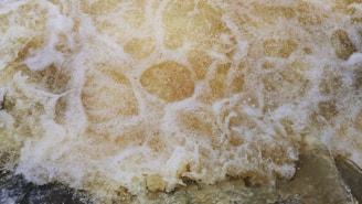 Close-up of fizzclean foam bubbling inside a toilet bowl, illustrating powerful cleaning action.