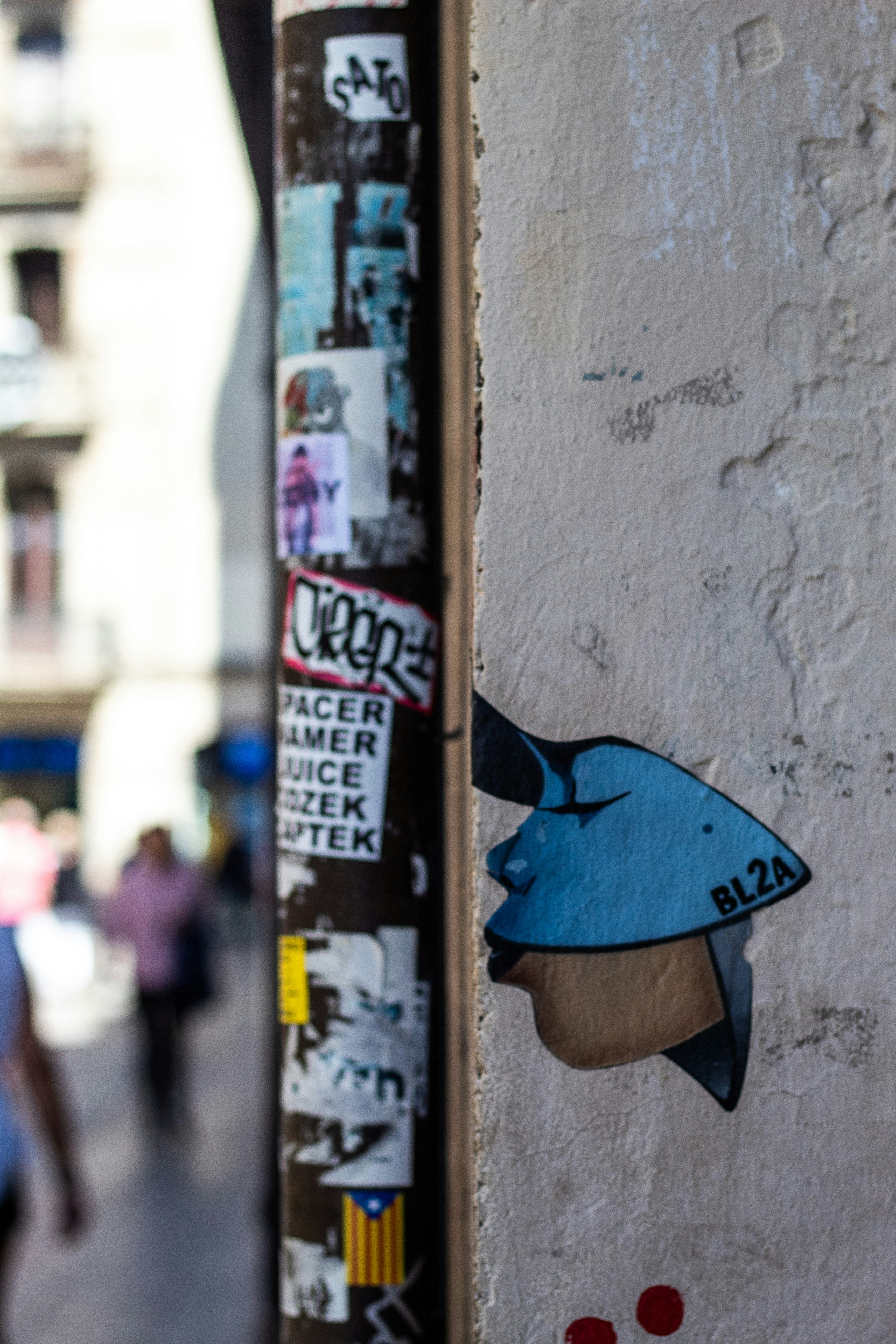 Photo by kellymccrimmon