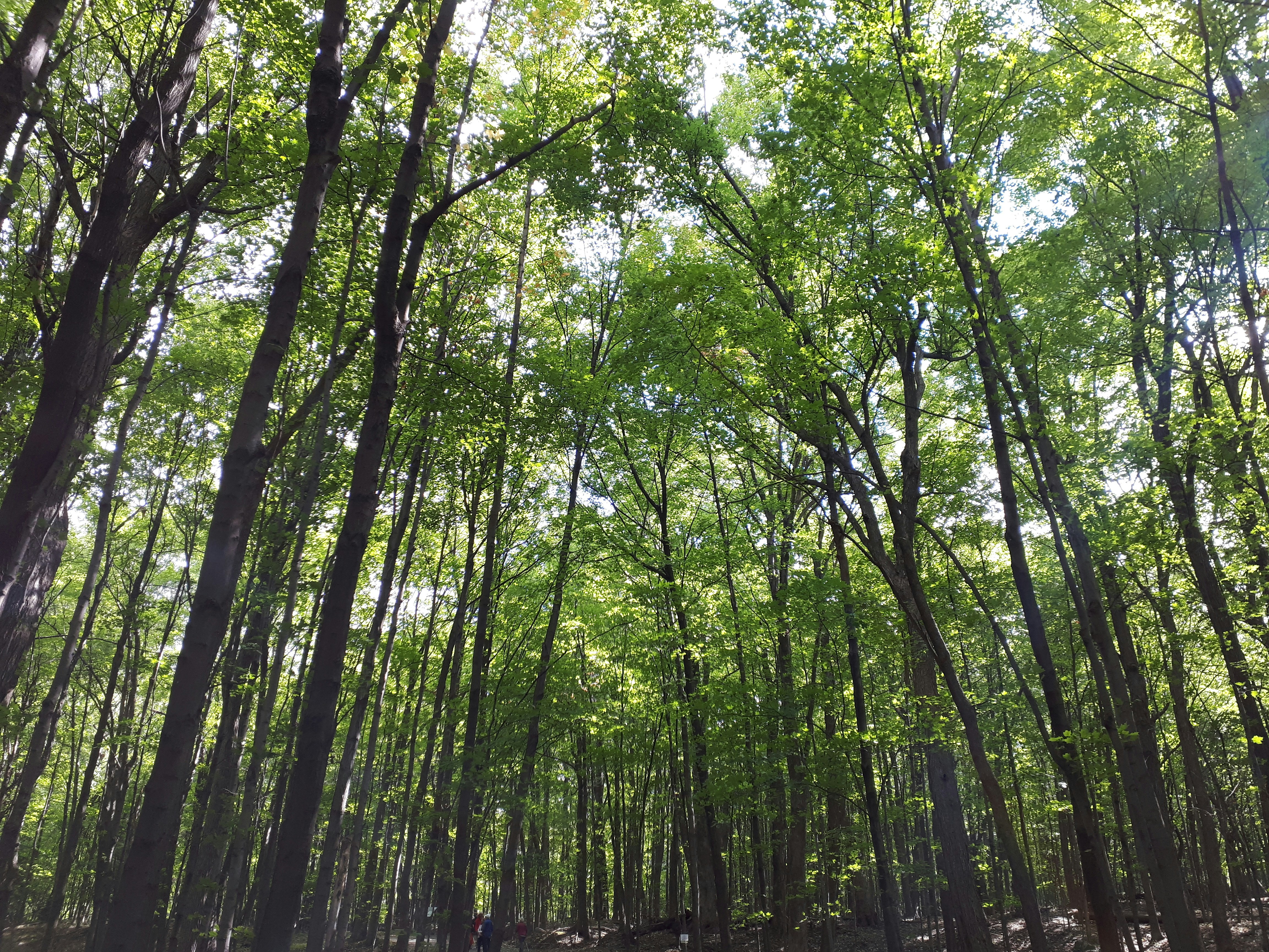 Photo by annnnnnnna8