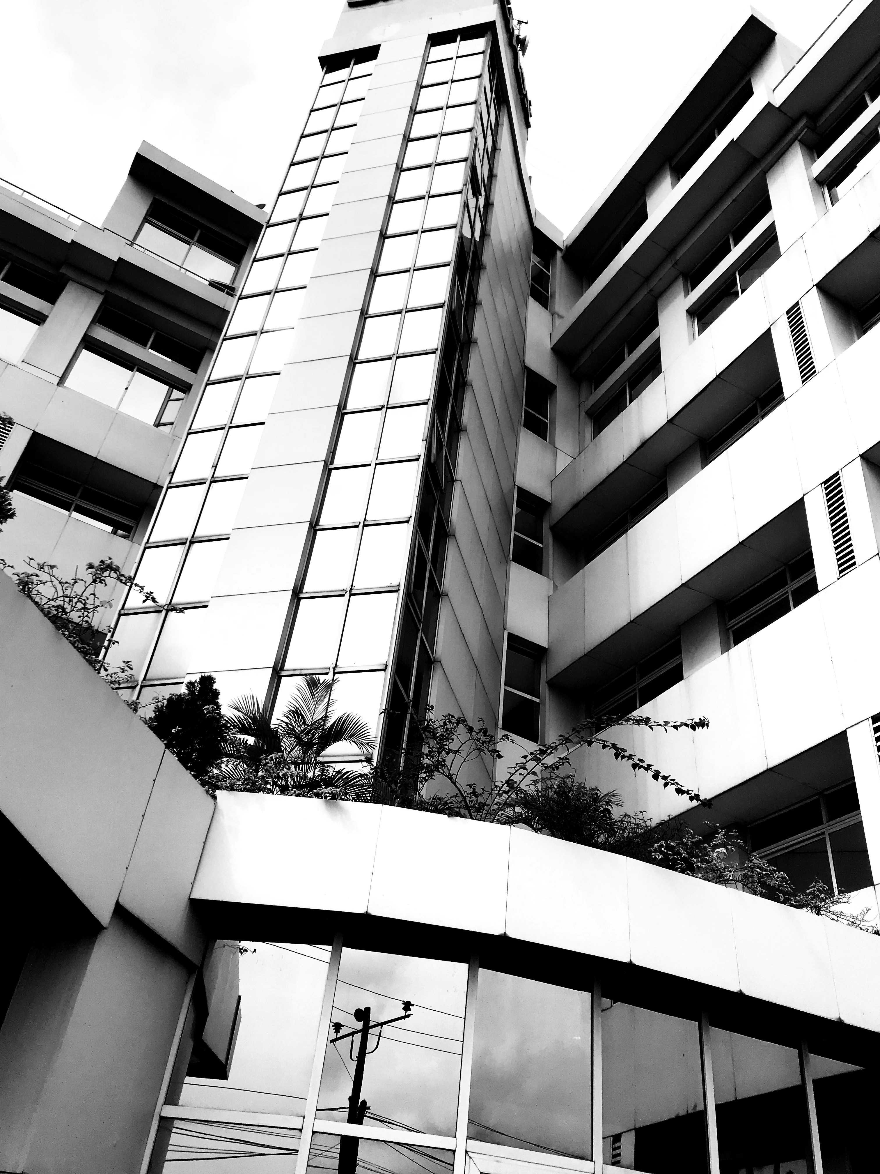 grayscale photo of high-rise building