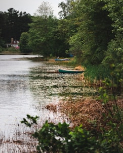 A charming lakefront home with a wooden dock and lush greenery surrounding the calm water.