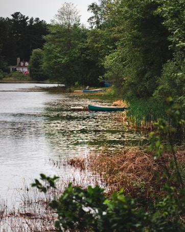A serene lakeside scene with calm water bordered by lush greenery and tall trees. A small dock hosts a canoe on the right, and a charming house with a chimney is visible across the lake surrounded by more trees.