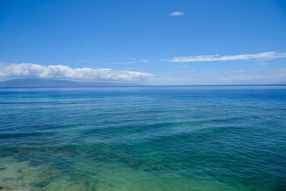 close-up photography of body of water