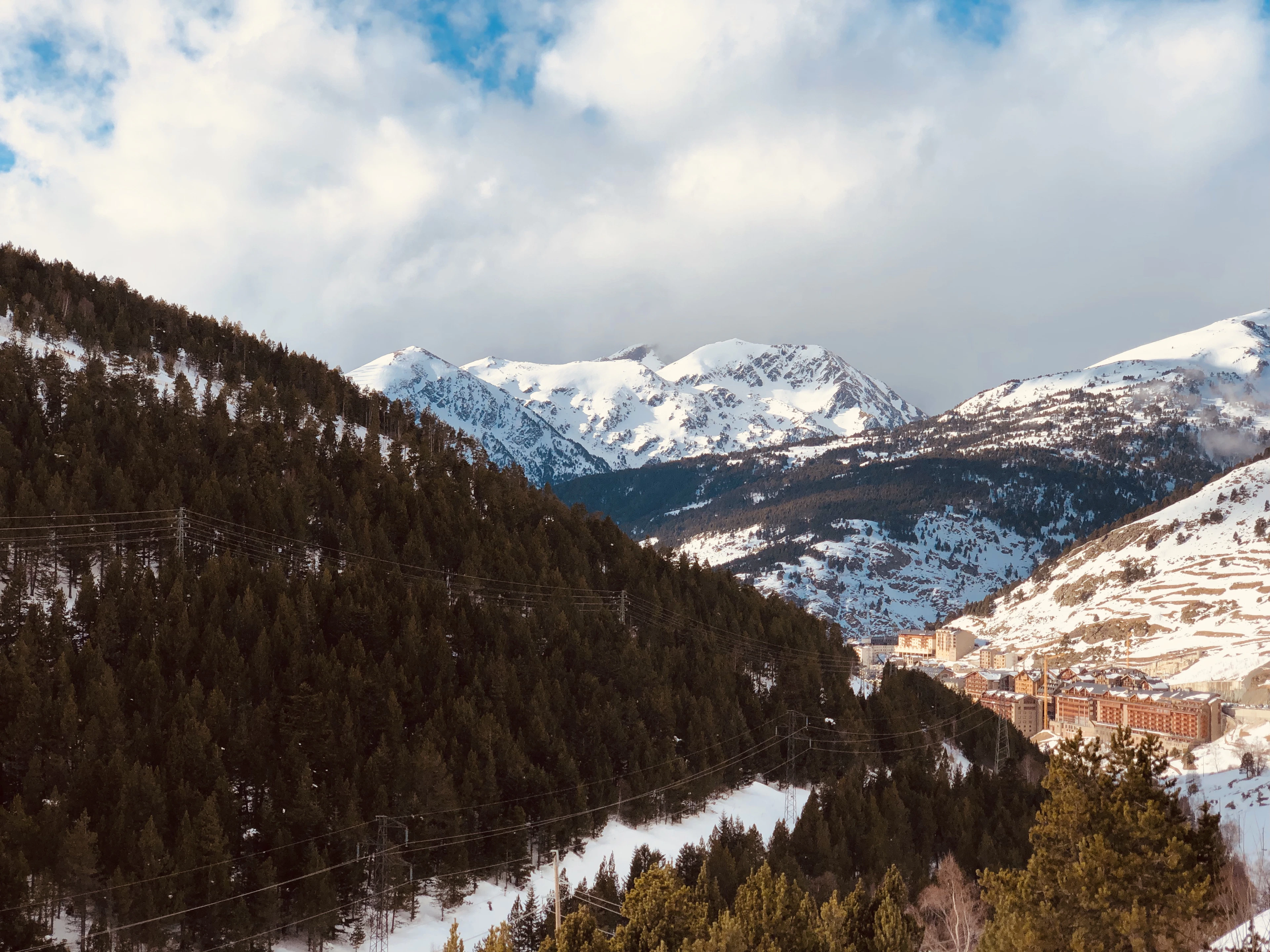 Snowy forest on the hills above Soldeu